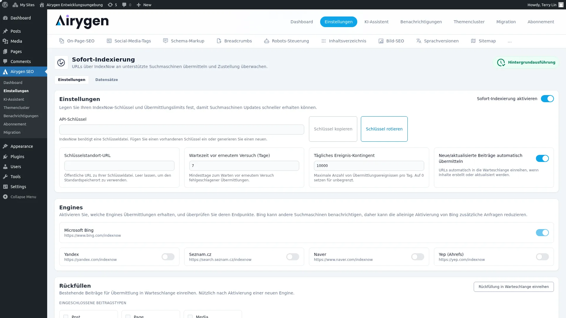 Sofort-Indexierung Screenshot (1)